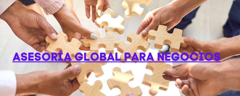 ASESORÍA GLOBAL NEGOCIOS